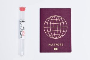 Read more about the article How to Buy a Real Passport Online