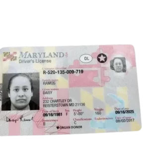 Buy Maryland Driver’s License Online