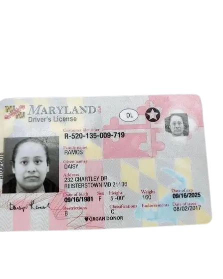 Buy Maryland Driver's License Online