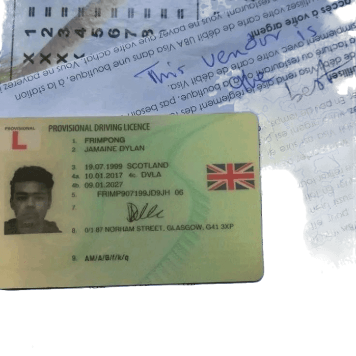 driving-with-provisional-license-seller-blog-gualaru